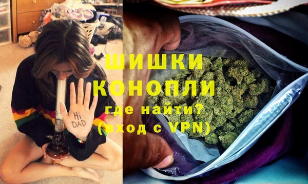 прущие грибы Алзамай