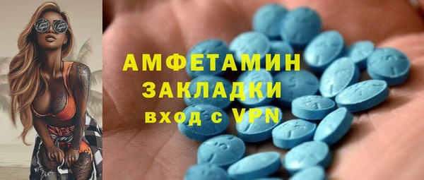 прущие грибы Алзамай