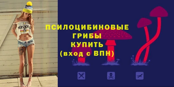 прущие грибы Алзамай