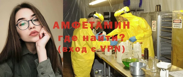 прущие грибы Алзамай